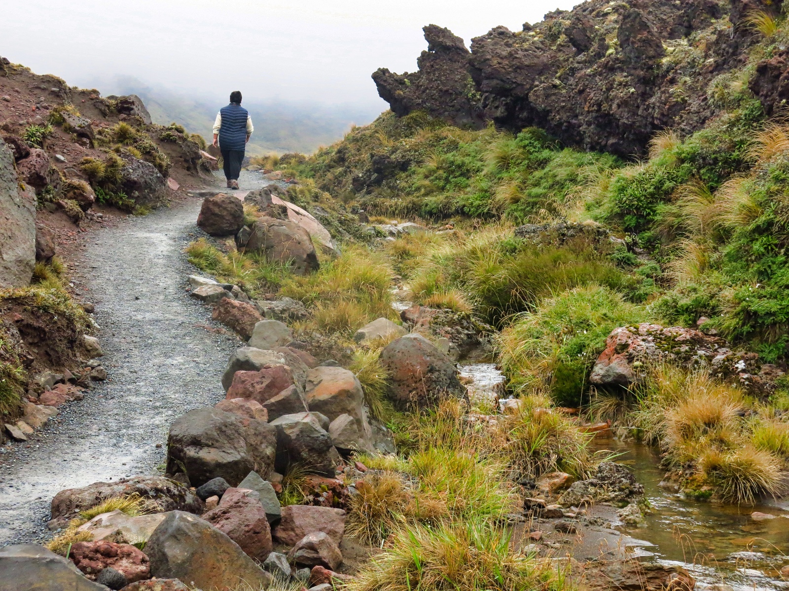 Tongariro National Park